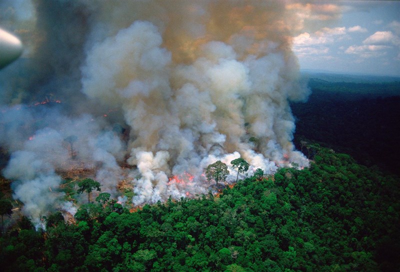 Amazon rainforest is burning at an unprecedented rate